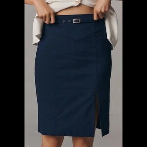 Anthropologie Belted Pencil Skirt: Magic Fabric Edition